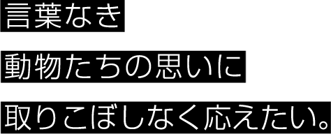 働きやすい環境があるからこそ将来像が描けます！